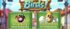 Birds Slot