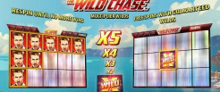 The Wild Chase Slot
